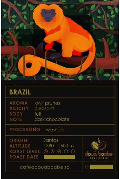 Cafea de specialitate Brazil : Arome intense, Gust autentic Cafea de specialitate Brazil : Arome intense, Gust autentic