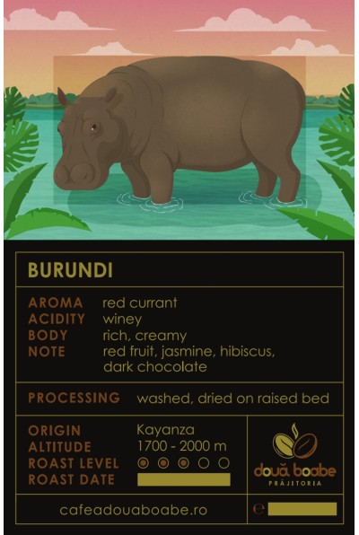 Cafea boabe Burundi: Arome exotice, Gust unic Cafea boabe Burundi: Arome exotice, Gust unic