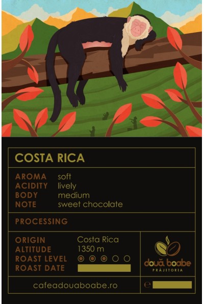 Cafea de specialitate Costa Rica: Gust desăvârșit, arome echilibrate Cafea de specialitate Costa Rica: Gust desăvârșit, arome echilibrate