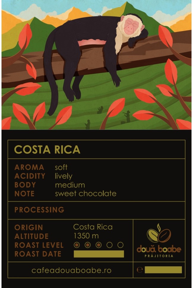 Cafea de specialitate din Costa Rica: Arome unice și delicioase