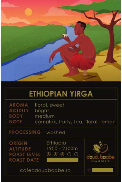 Cafea de Specialitate Etiopia: Călătorie în Leagănul Cafelei Cafea de Specialitate Etiopia: Călătorie în Leagănul Cafelei
