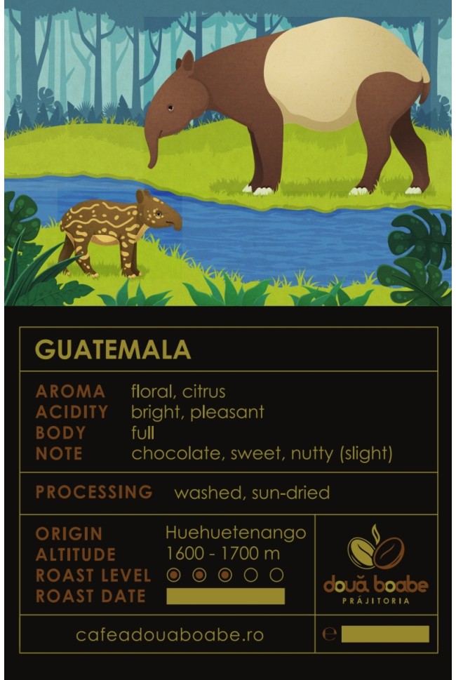 Cafea de specialitate Guatemala: Aventura gustului