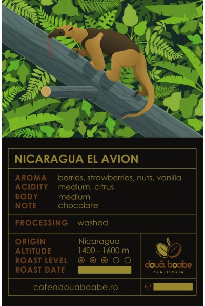 Cafea de Specialitate Nicaragua: Gustul Unic Al Tradiției Cafea de Specialitate Nicaragua: Gustul Unic Al Tradiției